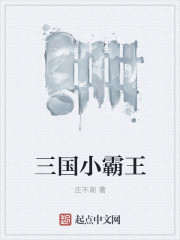 三国小霸王最新章节免费下载