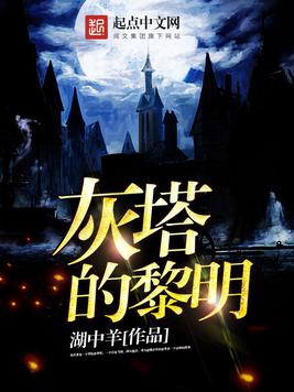 黎明塔全集阅读