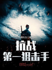 抗战第一狙击手txt下载