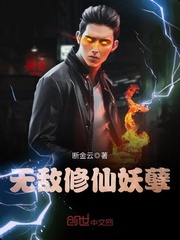 断金云的小说