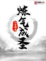 炼气成圣小说txt免费阅读
