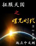 征服天国之曙光时代小说在线阅读全文