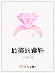 紫轩不婚免费阅读
