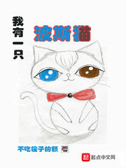 不吃橘子皮作者的小说