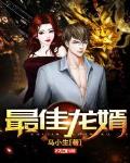 最佳龙婿叶辰完整版