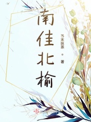 南榆木和北榆木的区别?