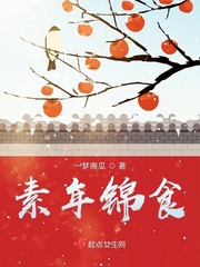 素年锦时什么意思?