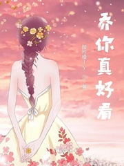 乔你真好看小说阅读免费全文