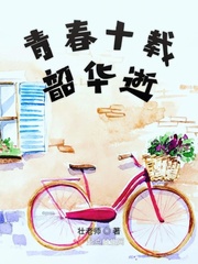 青春十载韶华逝小说全集免费下载