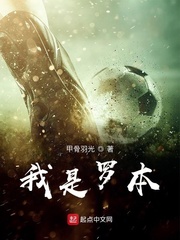 罗本为什么复出