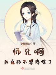 师兄啊师兄是什么小说