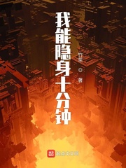 我能隐身的小说