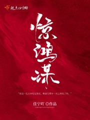 惊鸿txt小说百度云