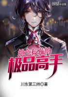 校花之至尊高手