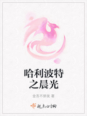 哈利波特之晨光txt云盘