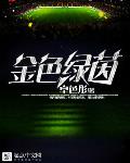 金色绿茵txt下载下书网