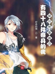 有四十八件帝具的我 小说