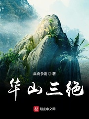 华山三绝 下载