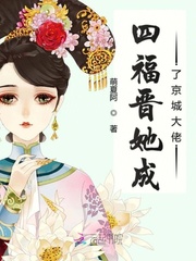 四福晋成了九福晋的小说