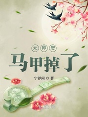 你家猫又打架了小说免费阅读