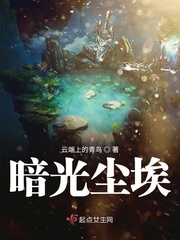 尘暗青衫的小说