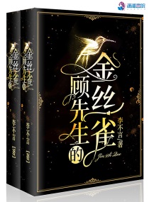 李不言风格的小说