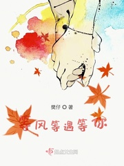 等风等遇等你txt小说免费阅读全文