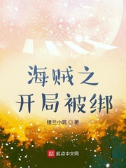 海贼之开局被绑小说全集免费阅读