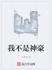我不是神我是人小说
