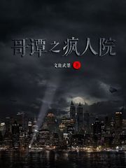哥谭之疯人院txt小说免费阅读全文