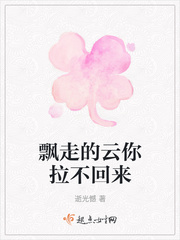飘过云彩小说