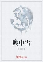 雪鹰原著小说
