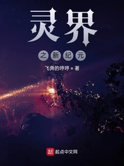 灵界之新纪元小说免费阅读下载