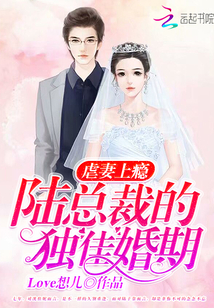 陆总裁是什么电视剧