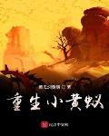 重生小黄蚁小说全本下载