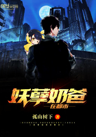 妖孽奶爸 叶辰