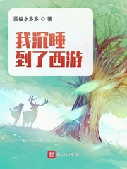 我沉睡到了西游txt笔下文学