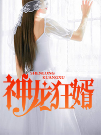 神龙狂婿林凡小说