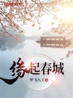 缘起春城小说全本在线阅读