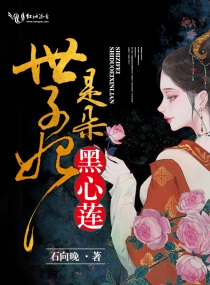 世子妃什么意思