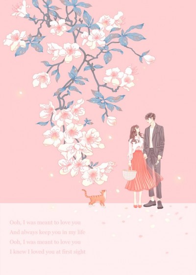 绝宠天下千红泪东沐泽小说全文免费阅读