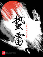 苍穹之雷小说阅读