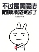 黑魔法防御课教授小说