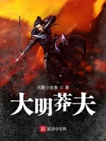 大明莽夫小说在线阅读无弹窗