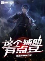 这个辅助有点凶小说