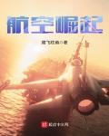 航空崛起 小说