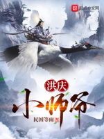 洪庆先生
