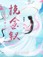 红楼之挽金钗最新章节免费阅读