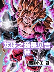 龙珠之我是贝吉特小说全本免费阅读