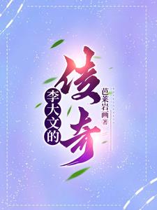 李大文的传奇小说全文免费阅读